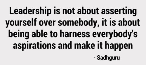 1-Leadership Harness