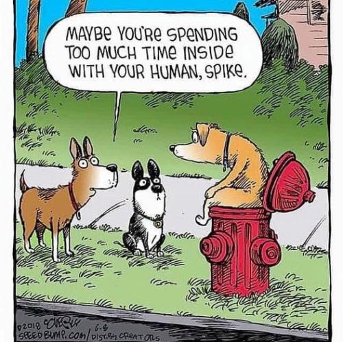 277505695_5100040690054542_8136920692766999574_n