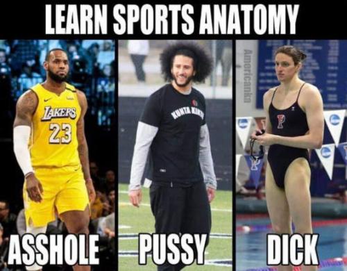 sports anatomy00