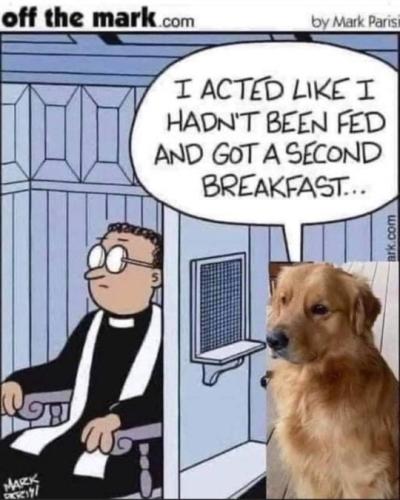 tumblr_7967d2ded52e95648f00c0dfe6a151f9_50556bae_540