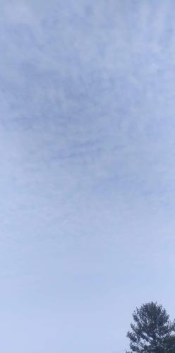 received_3150912871842521