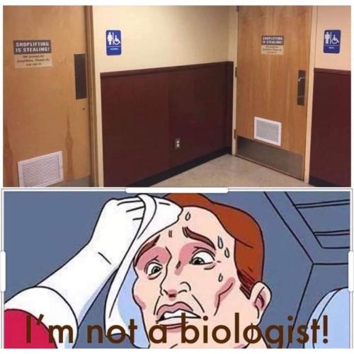 10d21d91-fc9d-408e-bc9f-115ac5ae004c