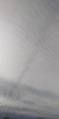 received_4829892323791730