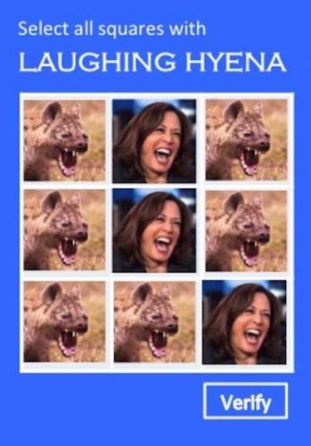 cf5af567-c7be-4658-843a-229f8a9f7eec