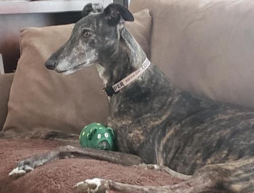 b56fe631-977c-4540-b513-d00243dbed15