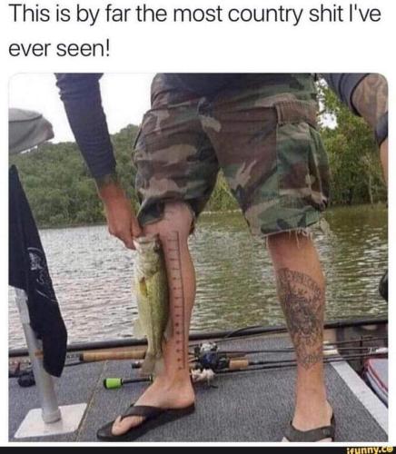 FB_IMG_1647712039821
