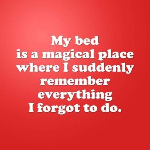 277564768_10159944005140119_5194355635773730419_n