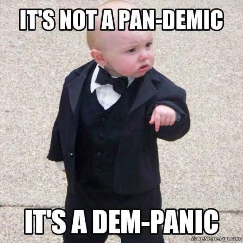 pan demic dem panic