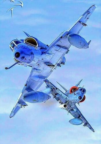 275444064_501767208125837_3640539655426033578_n