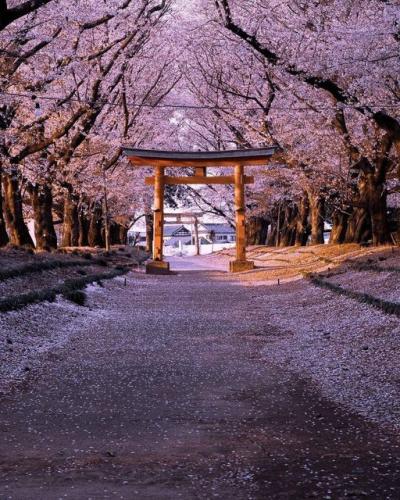 277094944_521084016025512_3702157123883248914_n