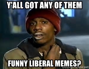yall-got-any-of-them-funny-liberal-memes