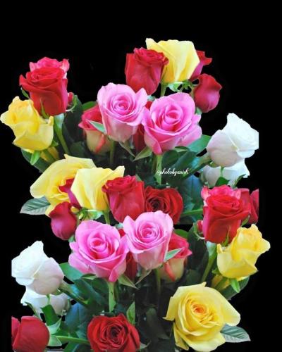 11:18:00 GMT-0500 (CDT)