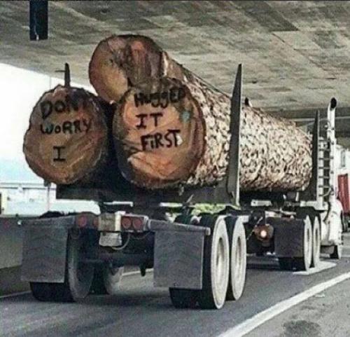 FB_IMG_1647881770857