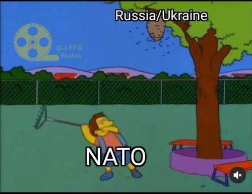 FB_IMG_1646419135624