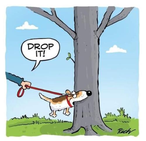 275367255_5263042597094250_2690725712977696439_n