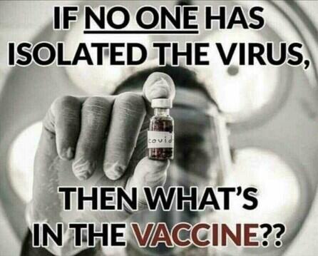 if_no_one_has_isolated_the_virus