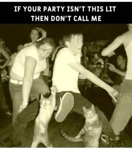 FB_IMG_1647713838010