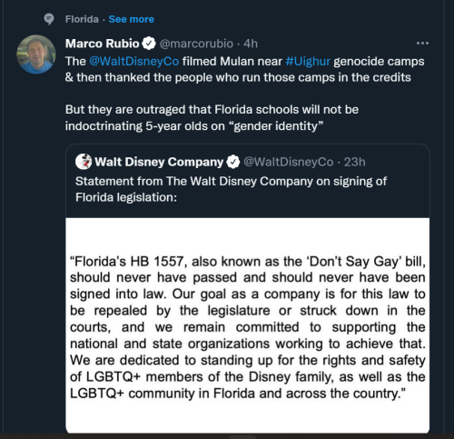 Disney FL Bill 1