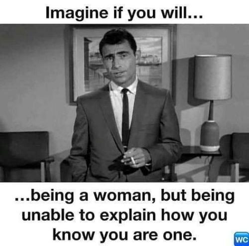 88d06e73-cc64-4429-bb44-5a9f1615e069