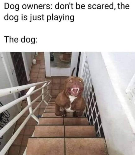 FB_IMG_1648070567309