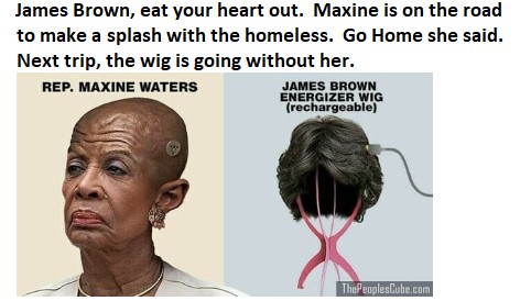 Maxine homeless