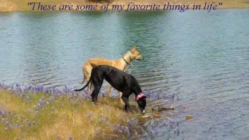 84cabbdb-0815-4438-9497-4cd05de30754