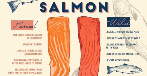 farmed-vs-wild-salmon-feature-800x417