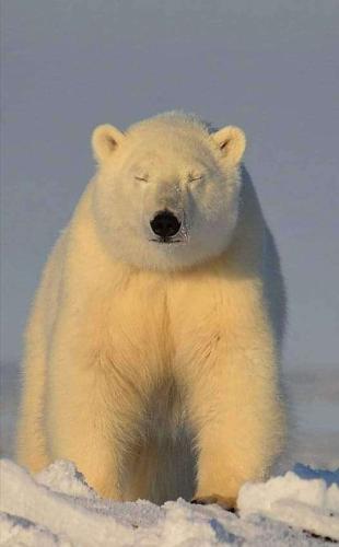 a89673d7-c7f6-4941-848e-9d381636c5cb