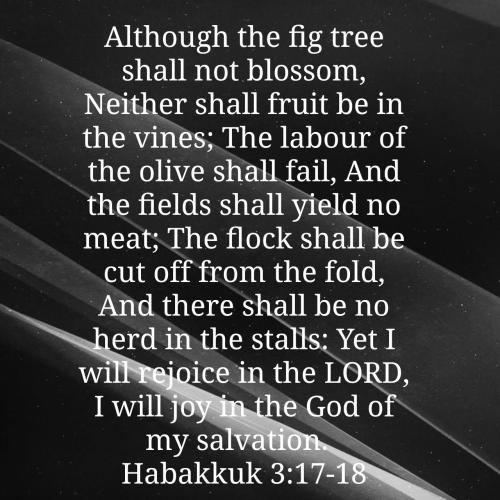 03:55:34 GMT-0400 (EDT)