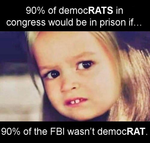 congress176
