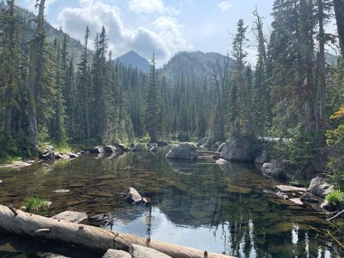 pnw_backstories-___CEaePy5gZ-O___-