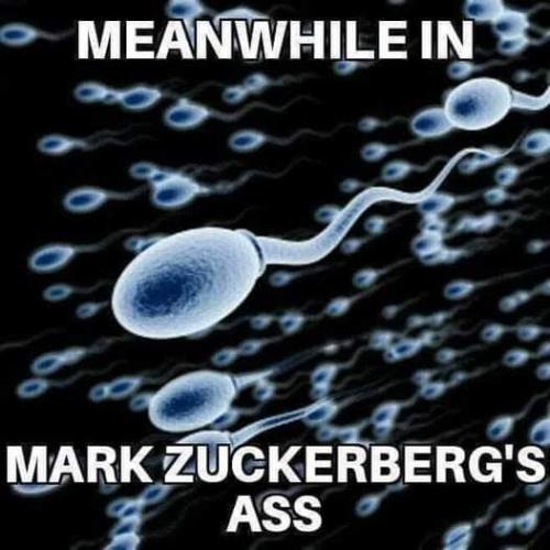 FB_IMG_1648045944682