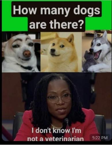 d3b1fd65-33e1-4400-93a8-cd2cfa6ebefe