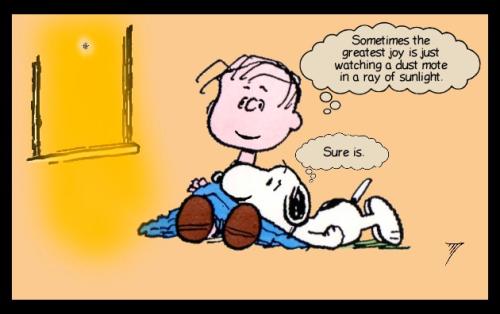 Comedy - Linus Snoopy Watching Dust Mote
