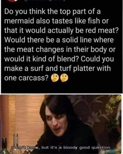 FB_IMG_1646287437804