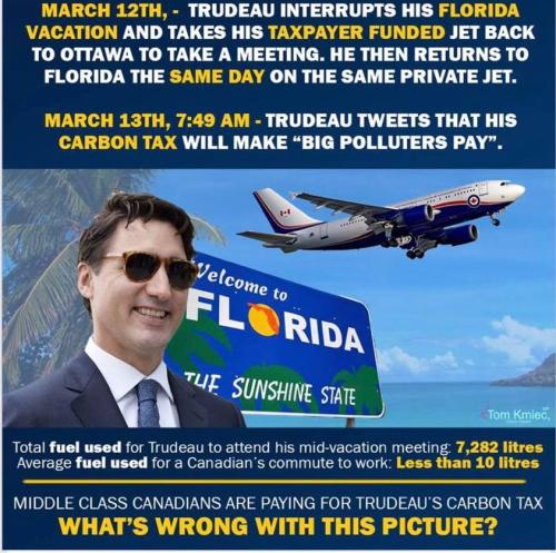 53486511_2234646879929309_3124581741403045888_n