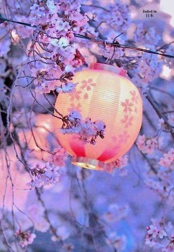 277346967_4465875766845857_6166000498560617638_n