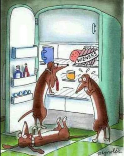 276097099_2071834286317991_7037606785974935390_n