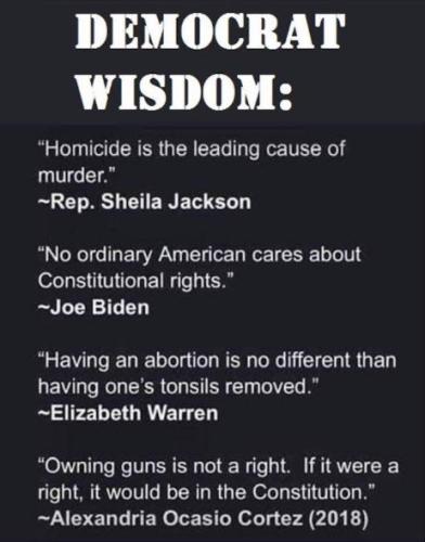 democrats501