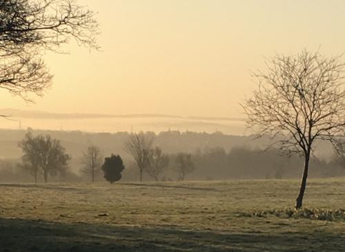 14:49:30 GMT+0000 (GMT).image