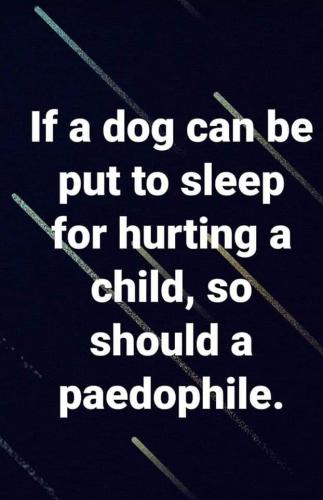 FB_IMG_1647013754772