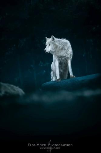 21:53:33 GMT-0500 (CDT)