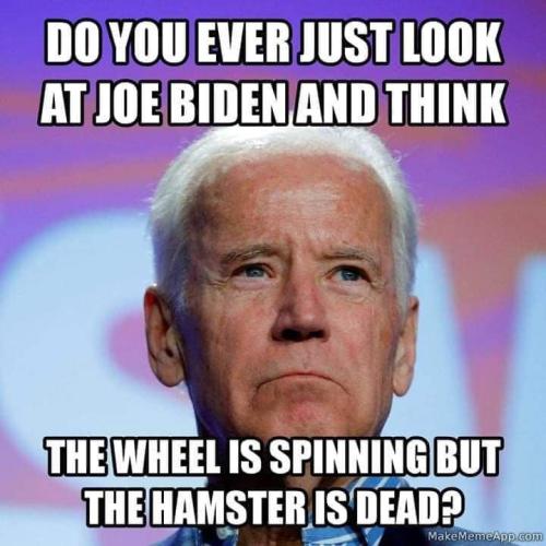 biden:hamster f