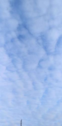 55973fcd-b5fb-437c-b29b-44ab90d8d855