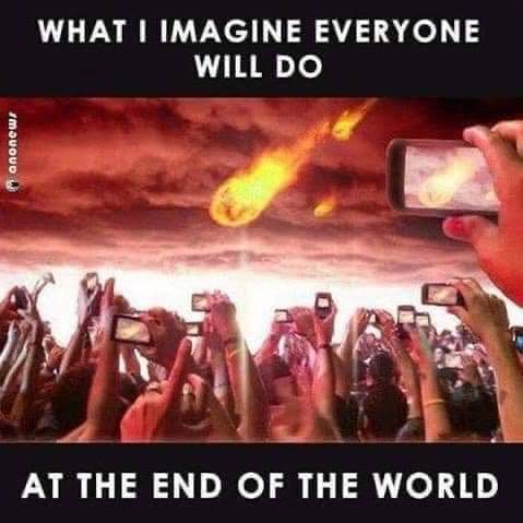 FB_IMG_1647712968971