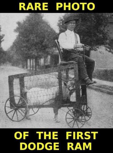 FB_IMG_1647095165021