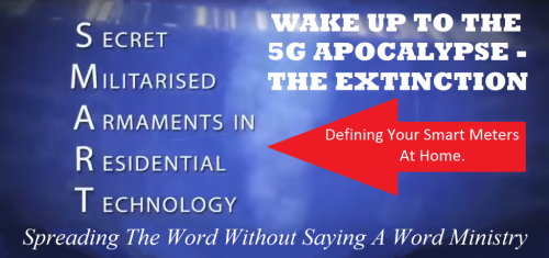 57155598_2270324376383014_2630659566060175360_n