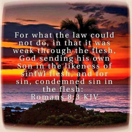 c58e0131-badb-4e64-aa46-7b227793109d