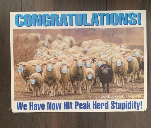 7E82DD9B-A60C-4965-BB25-4D0DDD4D4F42