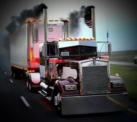 452d2f31-5fcb-4c0b-beb5-30cf9efb2556